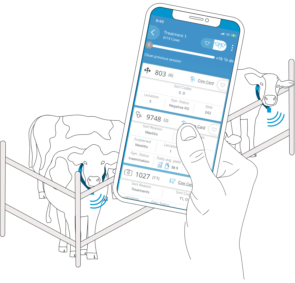 farm management app and cows with cow collar