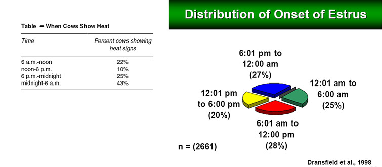 Distribution of Onset of Estrus