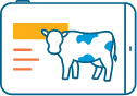 Cow monitoring Ebook by afimilk