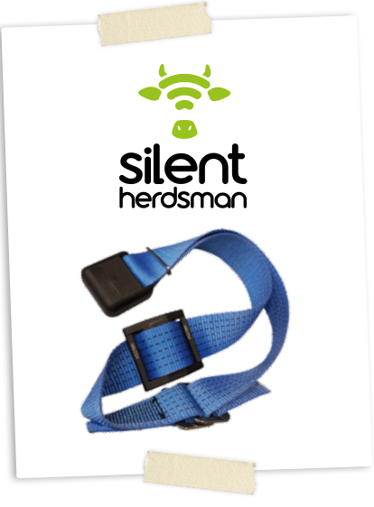 Silent herdsman