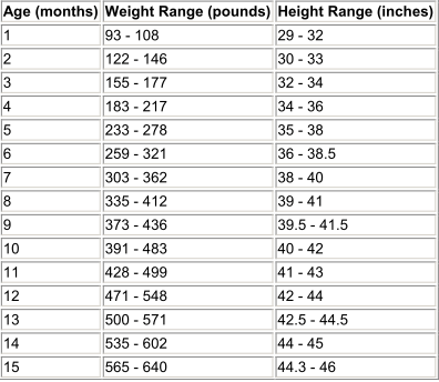 Bottle Calf Feeding Chart – Best Pictures and Decription Forwardset.Com