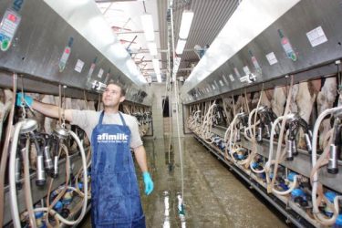 Employing AfiLab™ for commercialized real time, on-line milk separation according to its clotting properties