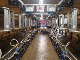 milking parlor