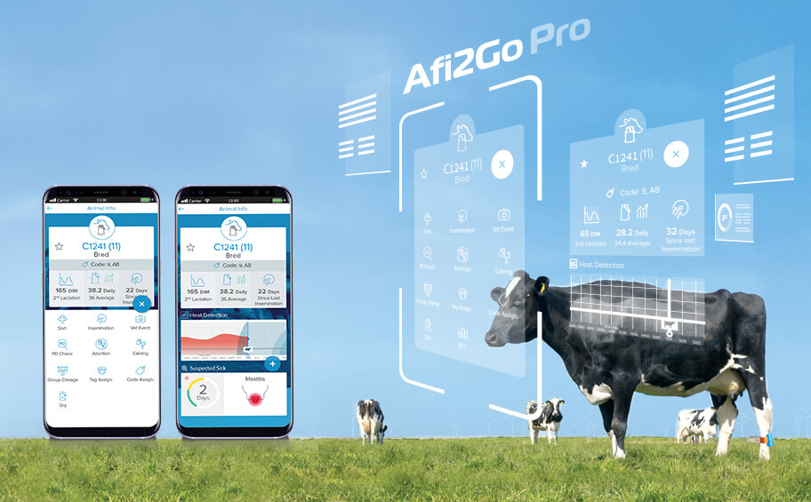 Фон Afi2Go Pro главная