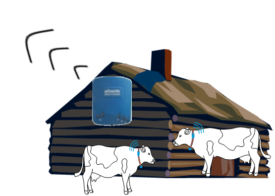 Мониторинг коров afimilk