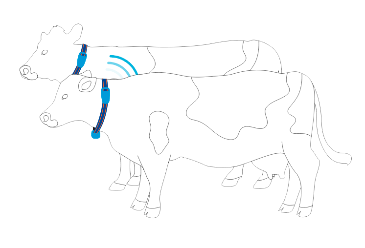 Мониторинг коров иконка