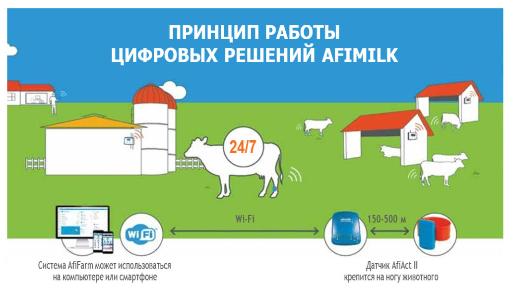 Принцип работы цифровых решений afimilk