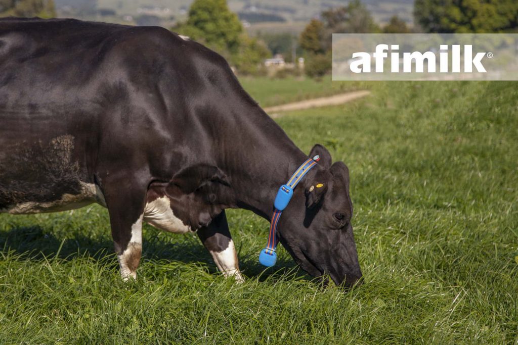 Afimilk проекты