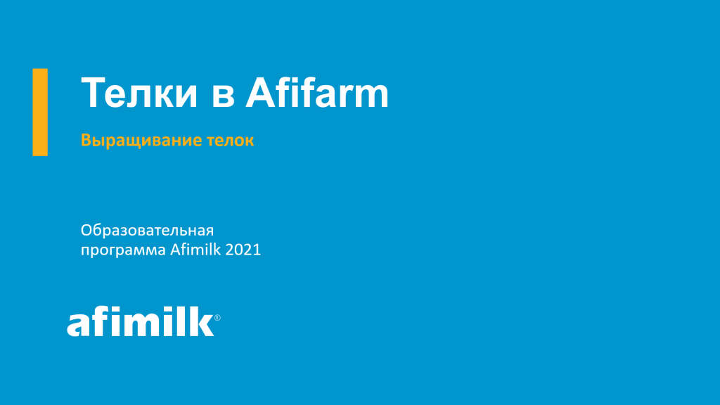 Телки в Afifarm